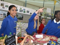 15-11-06-edible-garden-3-large