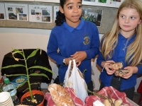 15-11-06-edible-garden-6-large