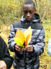 15-11-12-survivor-skills-3