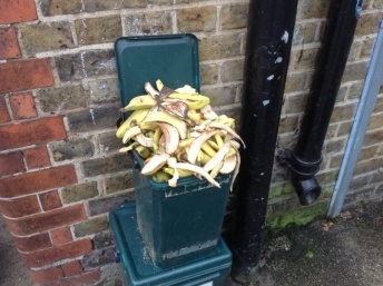 image10