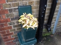 image10