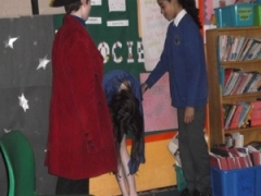 year-5-6