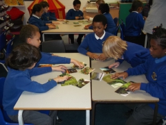 Planting Workshop 001