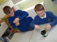 Planting Workshop 022