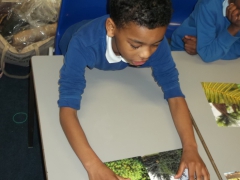 Planting Workshop 033