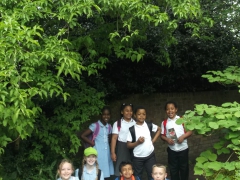 Kew Gardens 016