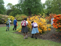 Kew Gardens 036