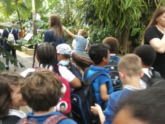 Kew Gardens 059