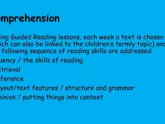 EYFS-and-KS1-reading-workshop-Oct-2020-08