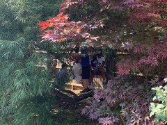 IMG_3372-rotated