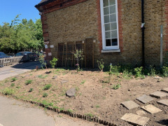 front-garden-3