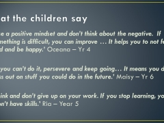 Slide11