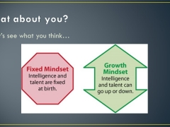 Slide4