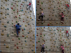 Wall-climbing-10
