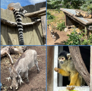 Yr-4-London-Zoo-22-5