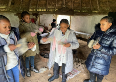 y4-carding