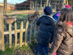 y4-farm