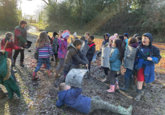 y4-romans
