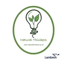 natural-thinkers-logo